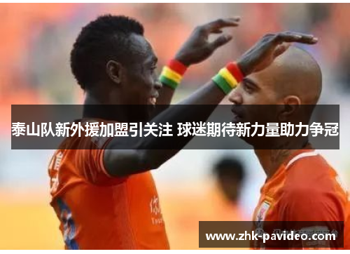 泰山队新外援加盟引关注 球迷期待新力量助力争冠