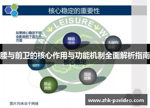 腰与前卫的核心作用与功能机制全面解析指南
