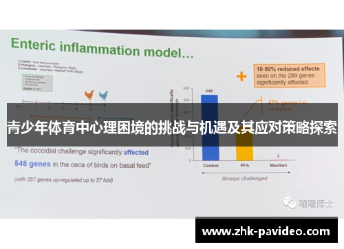 青少年体育中心理困境的挑战与机遇及其应对策略探索