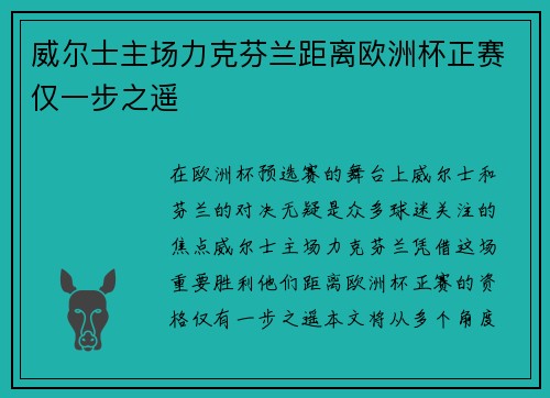 威尔士主场力克芬兰距离欧洲杯正赛仅一步之遥